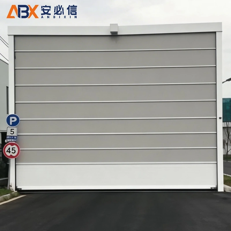 阿里地区机库门